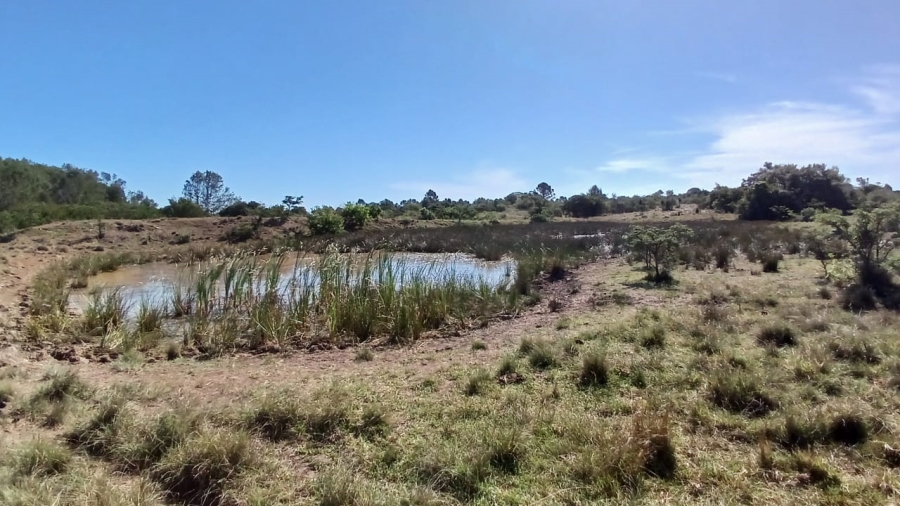 Commercial Property for Sale in Bathurst Rural Eastern Cape